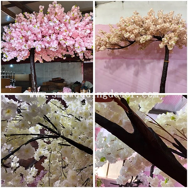 pink cherry blossom flowers pink cherry blossom flowers